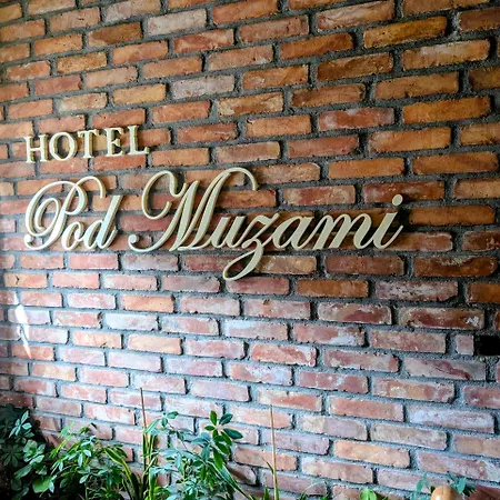 Pod Muzami Hotel 2*