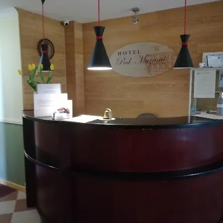 Hotel Pod Muzami 2*