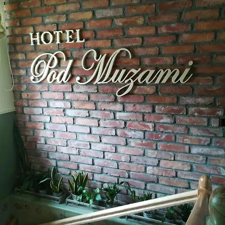 酒店 Pod Muzami 2*